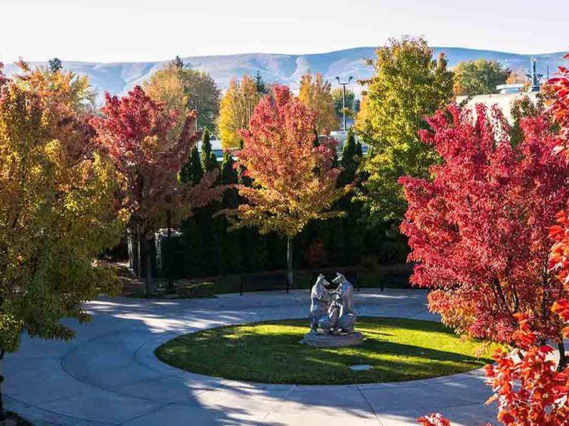 Fall leaves on Yakima Campus