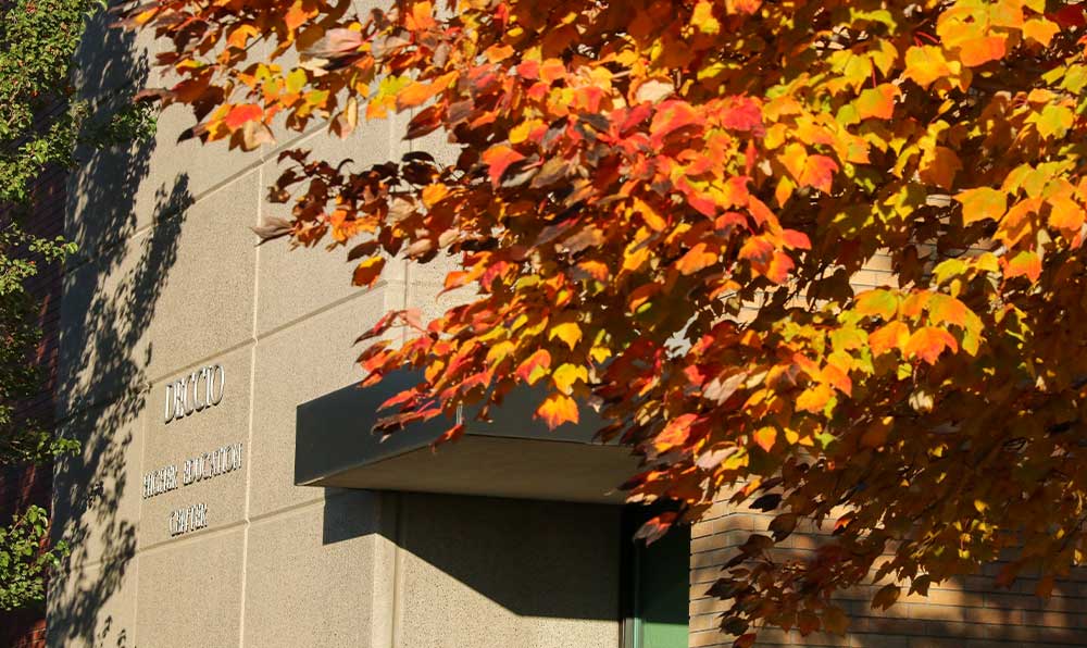 Leaves turning color in front of building