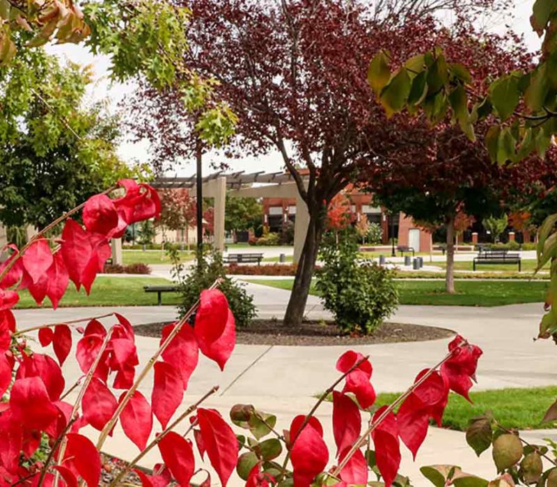 Yakima campus fall