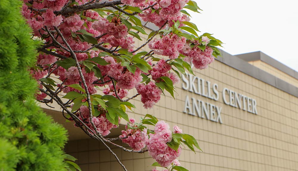 Blossoms in front of the Skills Center Annex