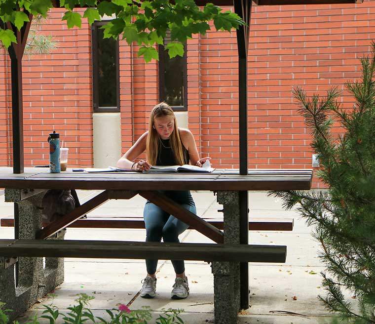 Student studies outside of the HUB