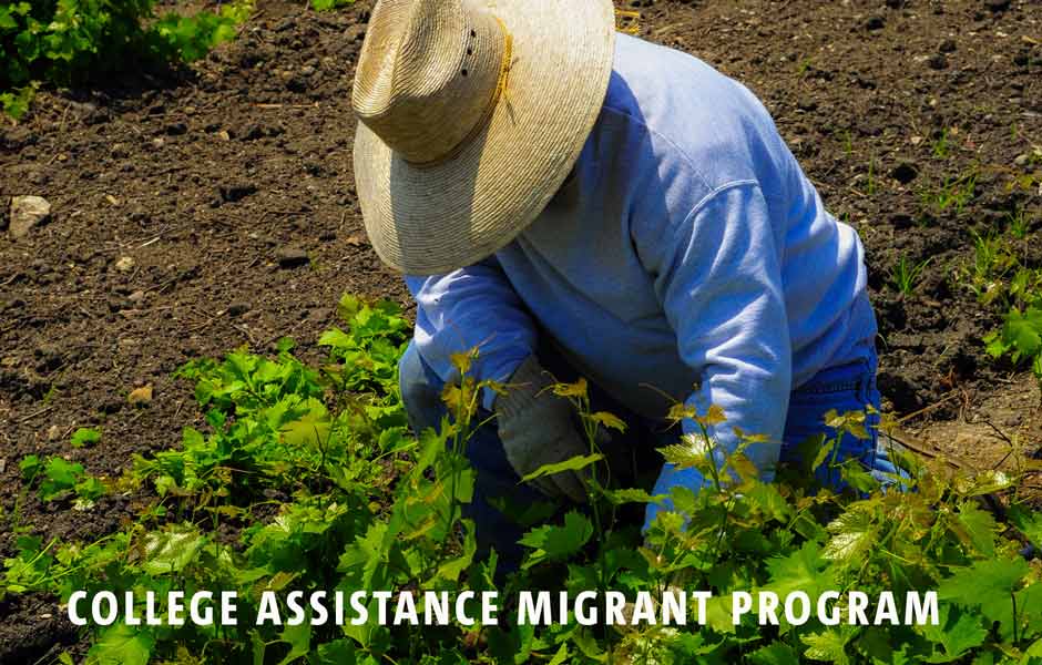 College Assistance Migrant Program (CAMP)