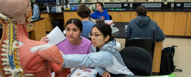 Students work with a model in a biology lab class